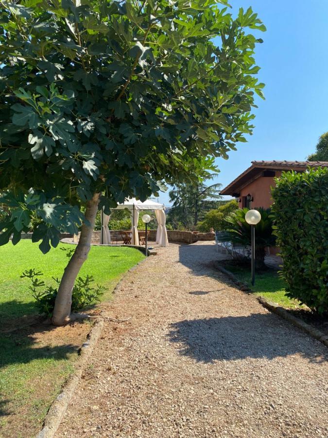 Вилла La Casa Di Irene Nel Golf Club Рим Экстерьер фото