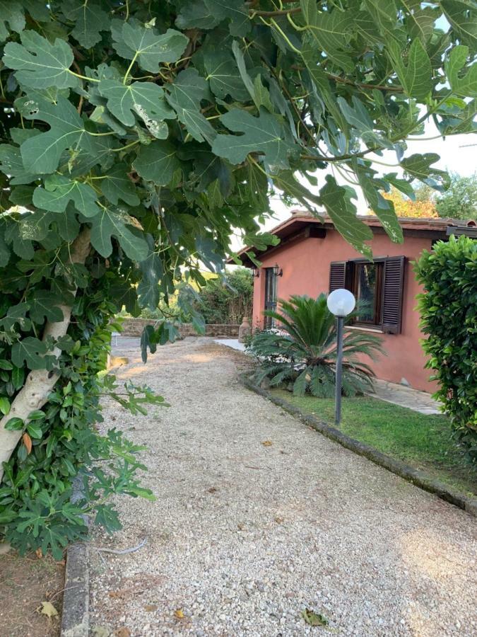 Вилла La Casa Di Irene Nel Golf Club Рим Экстерьер фото